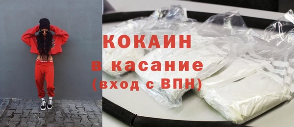 крисы Абаза