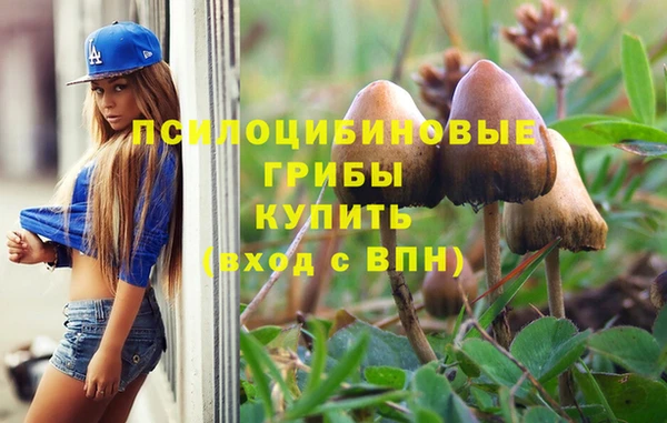 apvp Абдулино