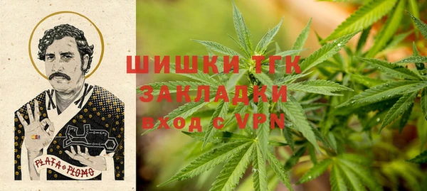 крисы Абаза