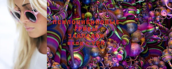 apvp Абдулино