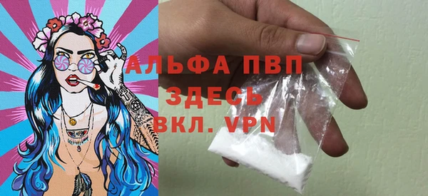 крисы Абаза