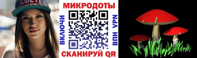 мега вход  Юрюзань  Псилоцибиновые грибы Magic Shrooms 
